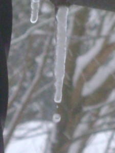 dec-24-2008-092 dec-24-2008-092