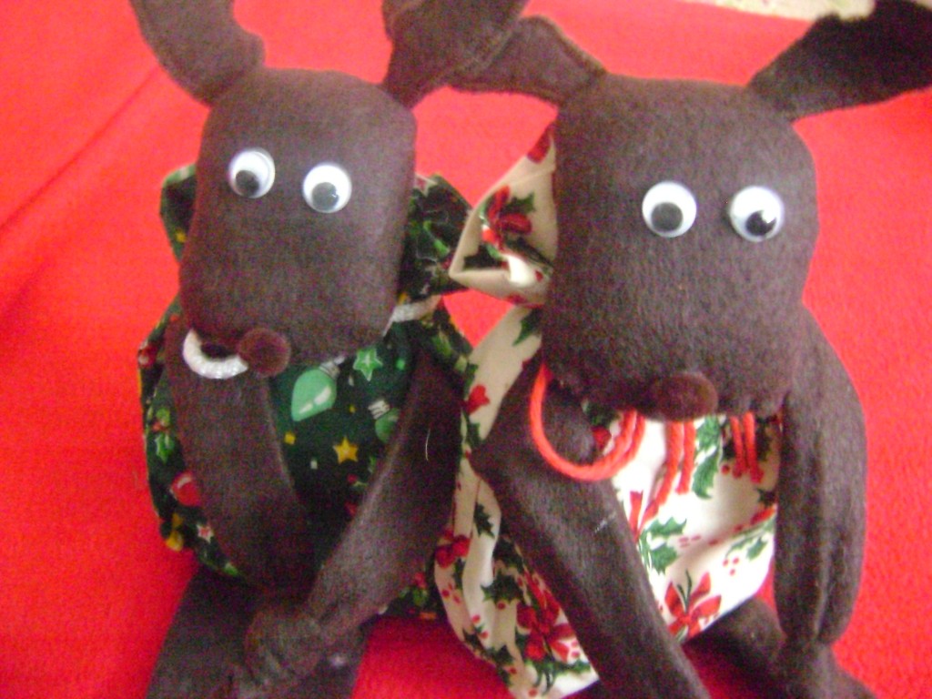 A moose 038