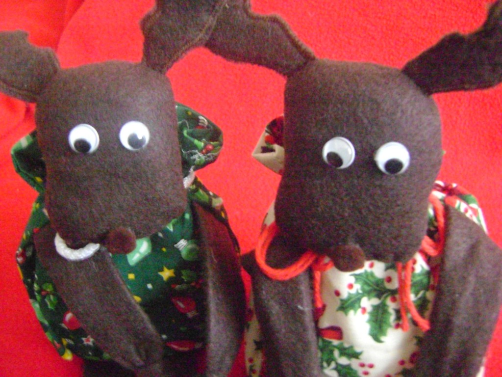 A moose 041 A moose 041