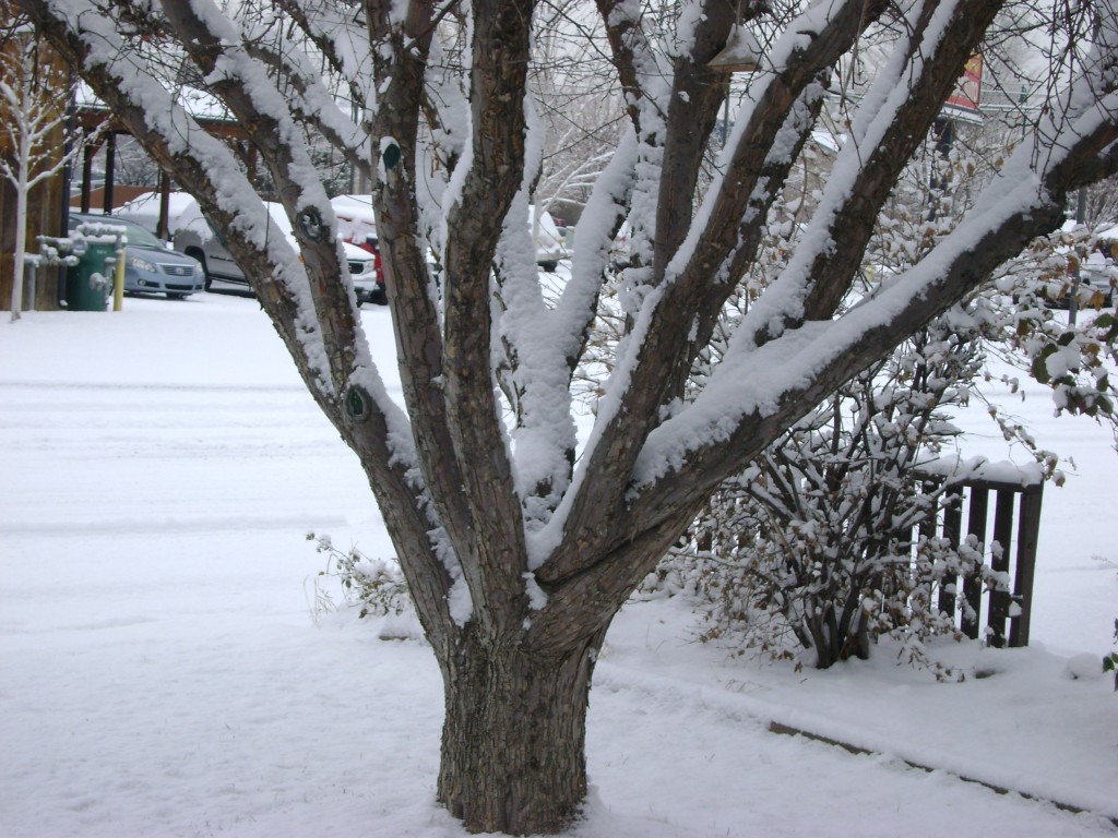 DSC06318